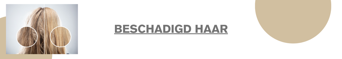 Beschadigd haar