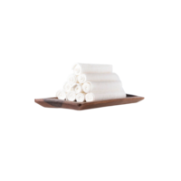 Wet n&rsquo; well 120 gram 12 rollen WBS 2