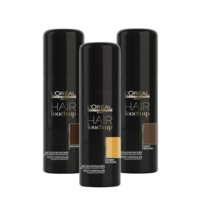 L'Or&eacute;al Hair Touch Up 75ml