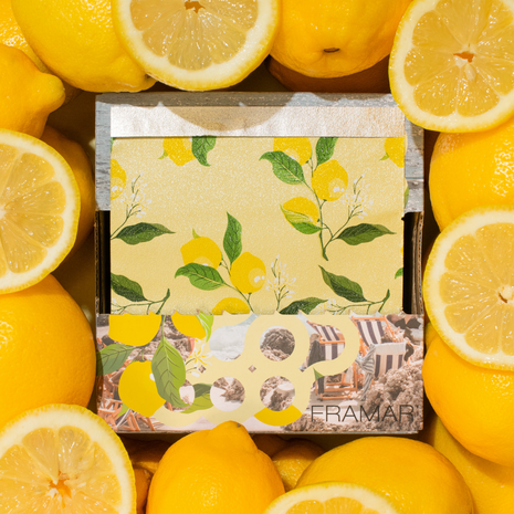 Framar Limoncello Pop up Foil 500 sheets