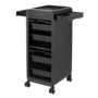 Trolley eNOBILE black